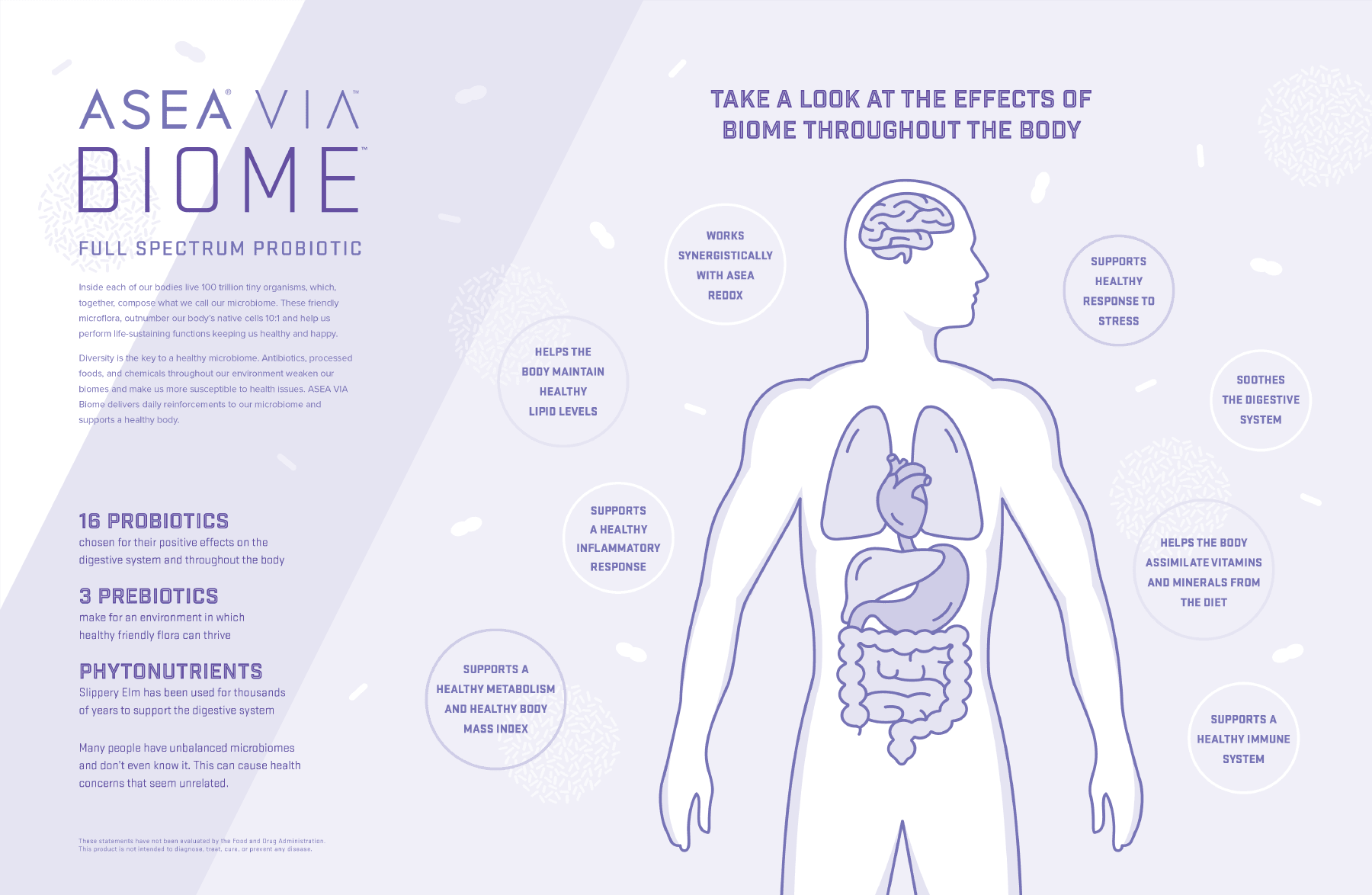 KHD-Via-Biome-Infographic